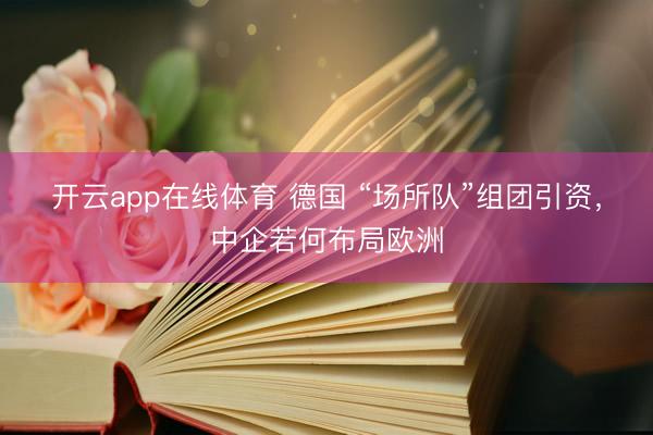 开云app在线体育 德国 “场所队”组团引资,中企若何布局欧洲