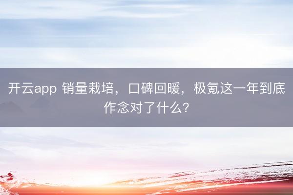 开云app 销量栽培，口碑回暖，极氪这一年到底作念对了什么？