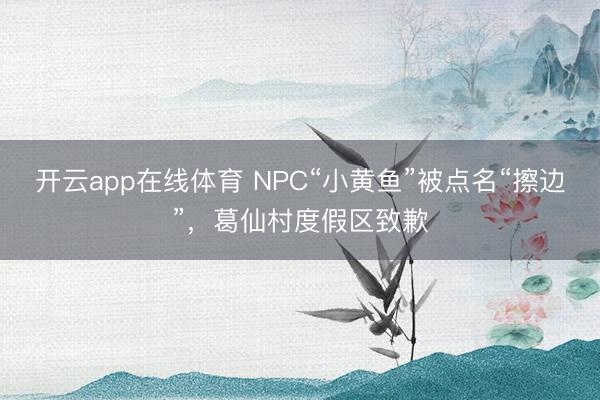 开云app在线体育 NPC“小黄鱼”被点名“擦边”，葛仙村度假区致歉
