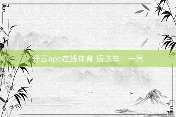 开云app在线体育 质选车：一汽
