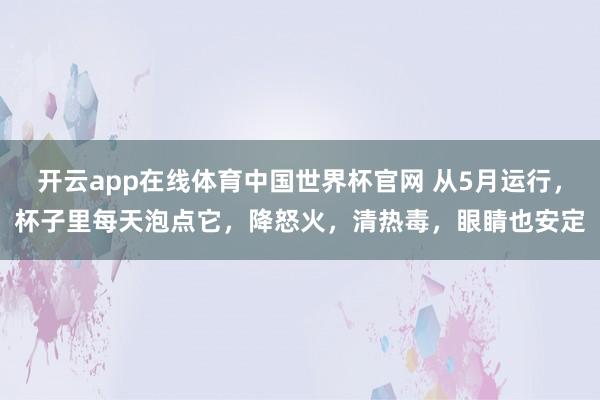 开云app在线体育中国世界杯官网 从5月运行,杯子里每天泡点它,降怒火,清热毒,眼睛也安定