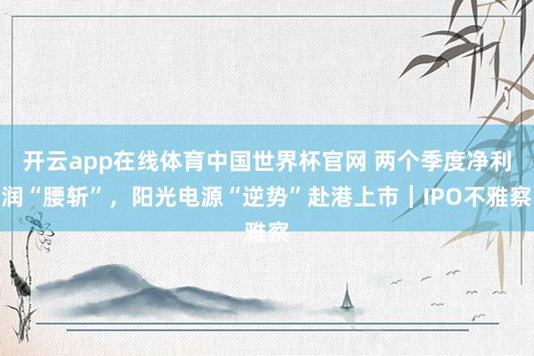 开云app在线体育中国世界杯官网 两个季度净利润“腰斩”，阳光电源“逆势”赴港上市｜IPO不雅察