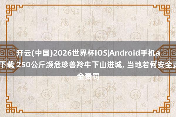 开云(中国)2026世界杯IOS|Android手机app下载 250公斤濒危珍兽羚牛下山进城， 当地若何安全责罚