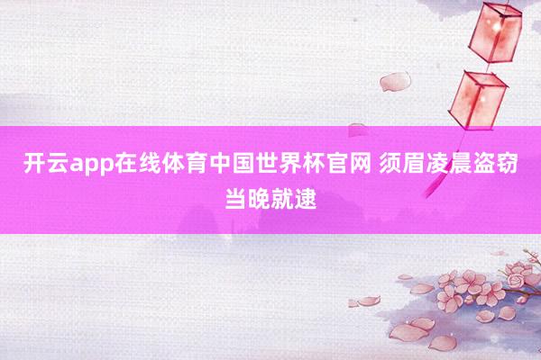 开云app在线体育中国世界杯官网 须眉凌晨盗窃当晚就逮