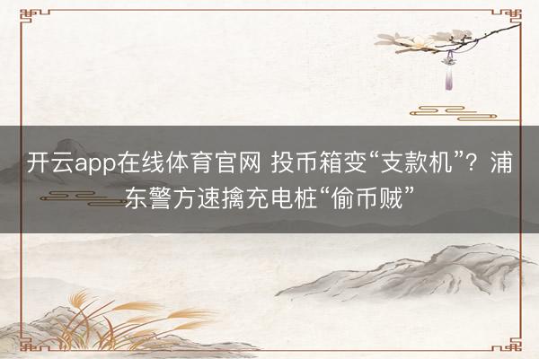 开云app在线体育官网 投币箱变“支款机”？浦东警方速擒充电桩“偷币贼”