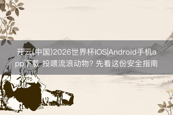 开云(中国)2026世界杯IOS|Android手机app下载 投喂流浪动物? 先看这份安全指南
