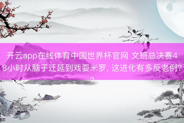 开云app在线体育中国世界杯官网 文班总决赛48小时从脑子迁延到戏耍米罗， 这进化有多反老例?